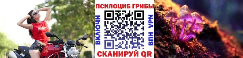 Галлюциногенные грибы Psilocybine cubensis  Набережные Челны 